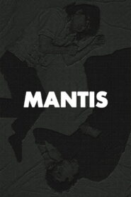 Mantis