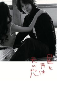 The Stars and the Moon are Holes in the Sky