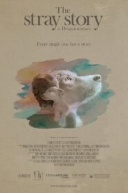 The Stray Story: A Dogumentary